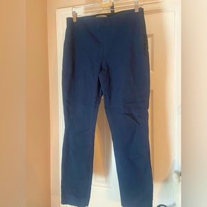 Everlane Navy Side Zip Work High Waist Pant Sz 10